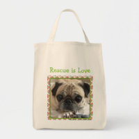 Bumble a sacola: O Pug/salvamento de Itsy é amor