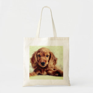 Bolsa Tote Cachorro Cachorro Cachorro Cachorro Cachorro Espan