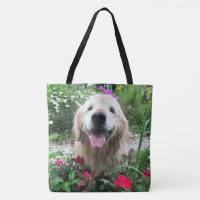 Cachorro-Ouro Sorriso Entre Flores