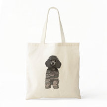 Cachorro Pet Poodle