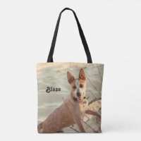 Cachorro Vermelho australiano - Heeler - na neve