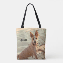 Cachorro Vermelho australiano - Heeler - na neve