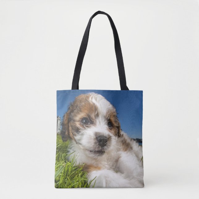 Bolsa Tote Cão de filhote de cachorro bonito (Shitzu) (Frente)