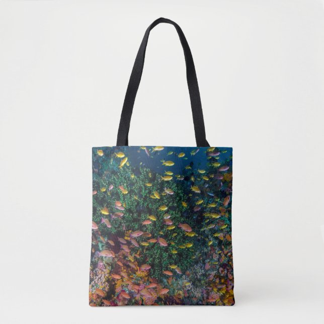 Bolsa Tote Cardumes nadam no recife (Frente)