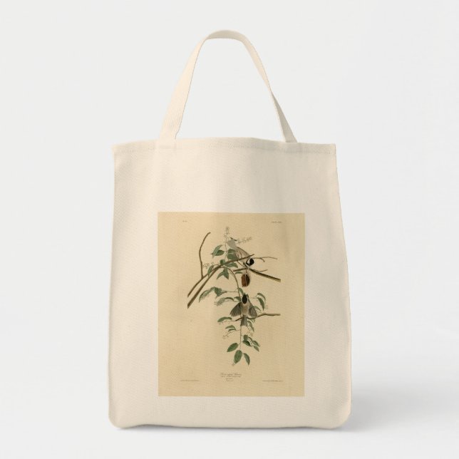 Bolsa Tote Carolina Titmouse da Universidade de Audubon's Bir (Frente)