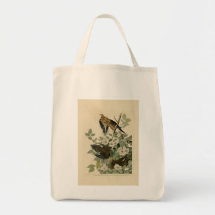 Bolsa Tote Carolina Turtle Dove Mourning Dove Audubon's Birds