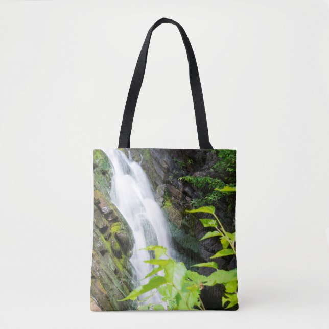 Bolsa Tote catarata do Hell's Gate Canyon (Frente)