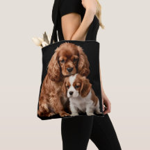 Cavalier Spaniel Ruby e seu filhote Blenheim