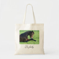 Cavalo castanho bonito a vaiar na grama