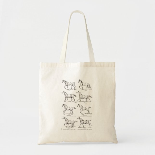 Bolsa Tote Cavalos da ilustração dos portes do cavalo dos (Frente)