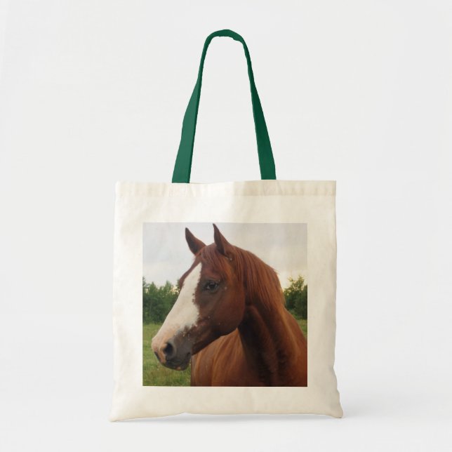 Bolsa Tote Chestnut Horse com Blaze Tote Bag (Frente)
