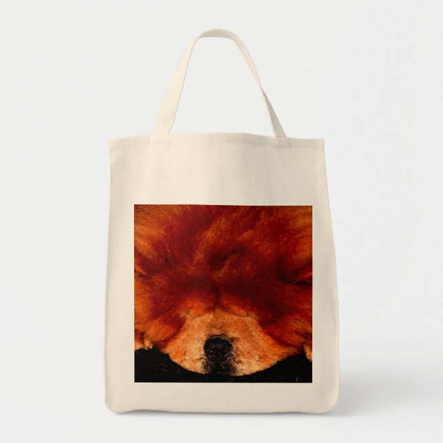 Bolsa Tote Chow Chow Gtcna Dormindo (Frente)