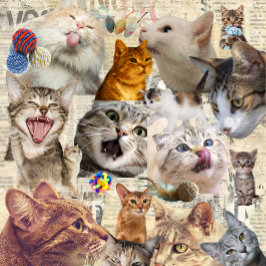 Bolsa Tote Colagem de Gatos e Brinquedos