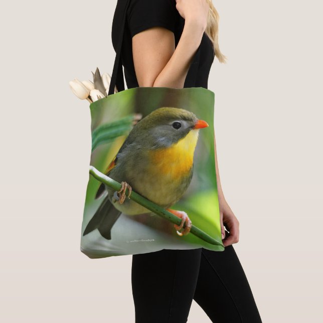 Bolsa Tote Colorida Leiothrix / Pekin Robin Songbird (Close Up)