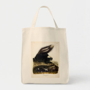 Bolsa Tote Common American Skunk ou Striped Skunk, de Audubon