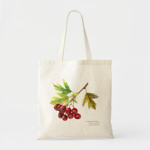 Bolsa Tote Comum Arte botânica Hawthorn pintada aquarela