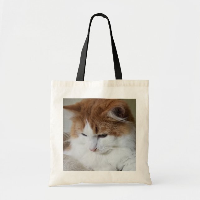 Bolsa Tote Contemplação do Gatinho (Rico Felino): Foto Cat (Frente)