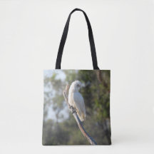 Corella Bird