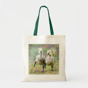 Bolsa Tote Cutest Baby Animals Canadian Goose Goslings