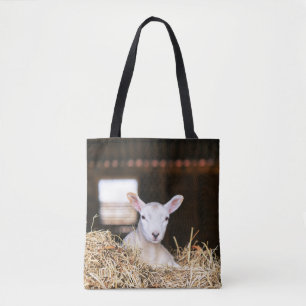 Bolsa Tote Cutest Baby Animals   Newborn Lamb
