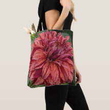 Dahlia Vermelha Variegada Floral em Flor