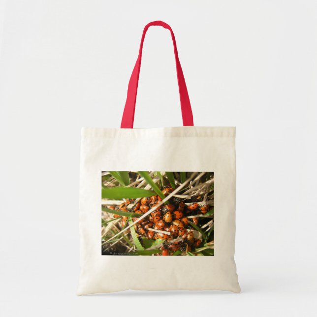 Bolsa Tote Damybugs (Coccinellidae) (Frente)