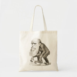 Bolsa Tote Darwin