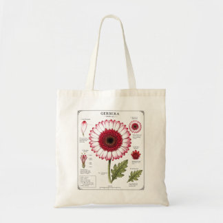 Bolsa Tote de Arte de Anatomia Floral Vintage