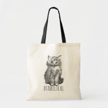 Diabolical Cute Fluffy Kitten