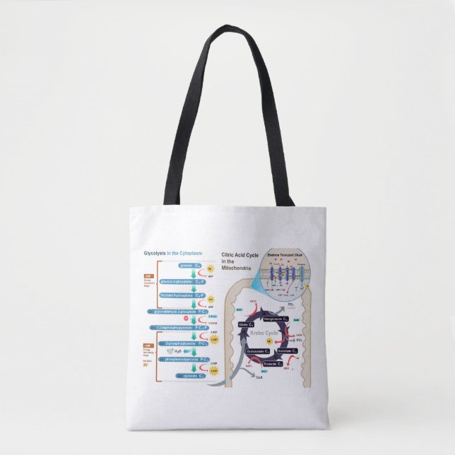 Bolsa Tote Diagrama da Respiração Celular Gráfico da Glicólis (Frente)