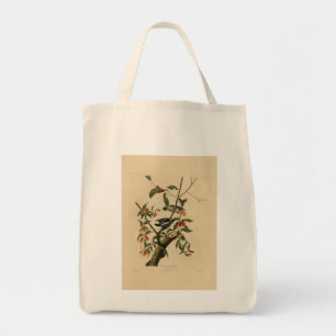 Bolsa Tote Downy Woodpecker - das Aves da América de Audubon
