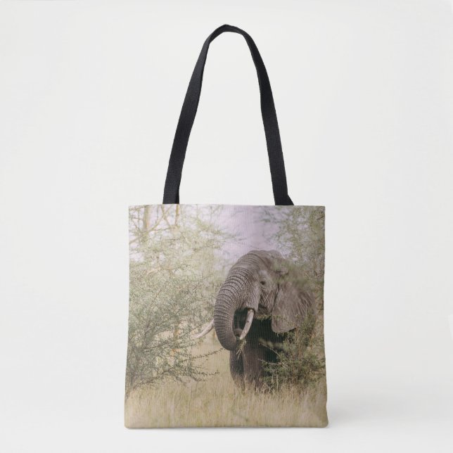 BOLSA TOTE ELEFANTE COMENDO DE UMA ÁRVORE (Frente)