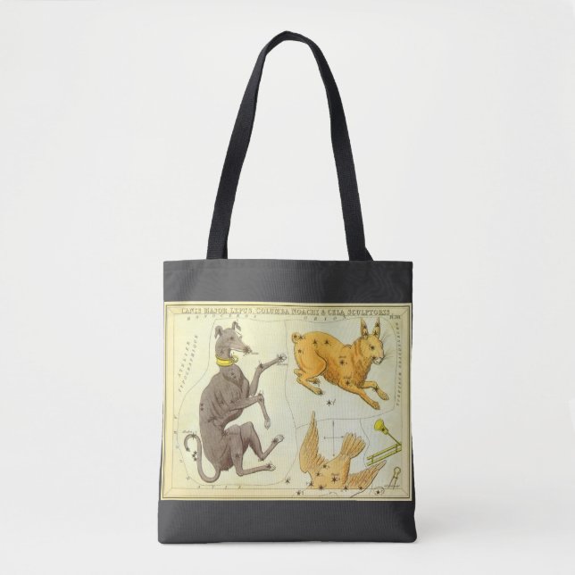 Bolsa Tote Espelho de Urânia, Mapa Celeste de Astronomia Anti (Frente)