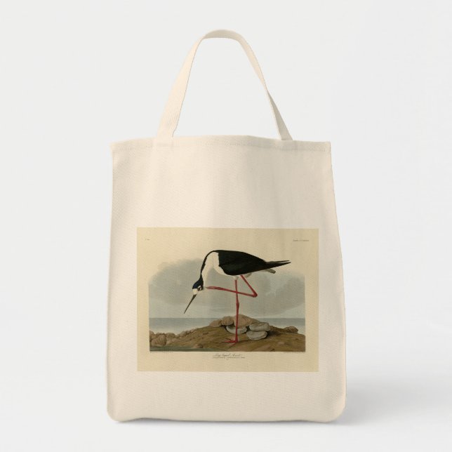 Bolsa Tote Evoque de pernas compridas das Aves da América de  (Frente)