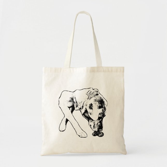 Bolsa Tote Explorações com tinta em movimento (Frente)