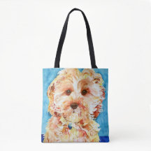 Filhote de cachorro "Ollie" de Cavapoo.