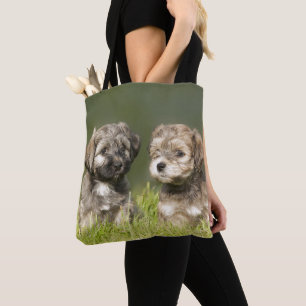 Bolsa Tote Filhotes de cachorro de Havanese