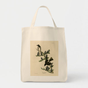 Bolsa Tote Flycatcher do lado da oliveira, Aves da América de
