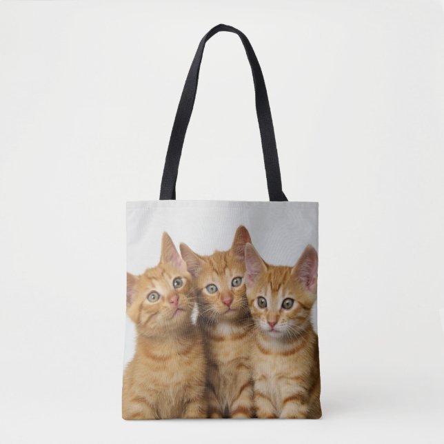 Bolsa Tote Foto bonito de três gatinhos do gato do gengibre - (Frente)