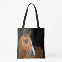 Foto de Cavalo Quarto de Milha Marrom Branco