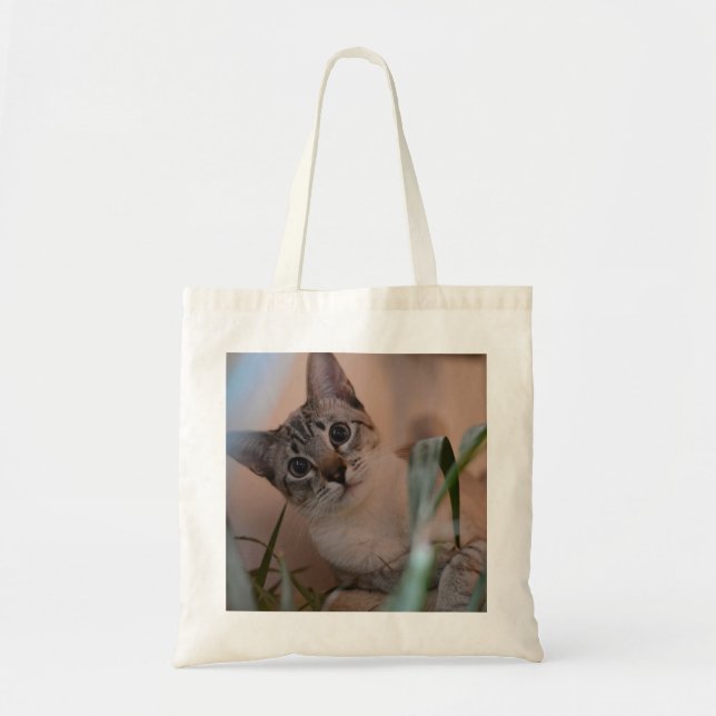 Bolsa Tote Foto de gato bonito (Frente)