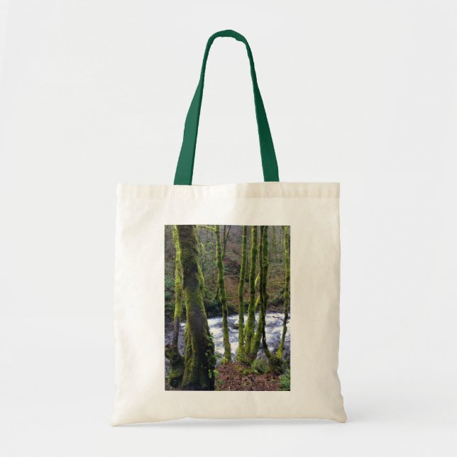 Bolsa Tote Fuga de Queda de Véu Bridal, OU (Frente)