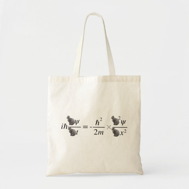 Bolsa Tote Gato de Schrodinger (Frente)