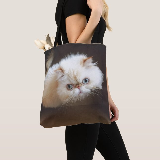 Bolsa Tote Gato em uma caixa (Close Up)