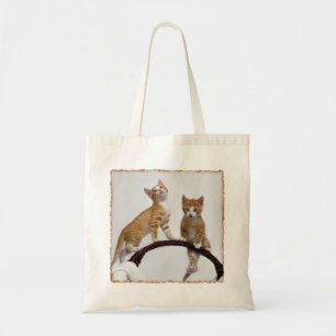 Bolsa Tote Gatos Bons Gatinhos Fazem Foto Engraçada De Gym