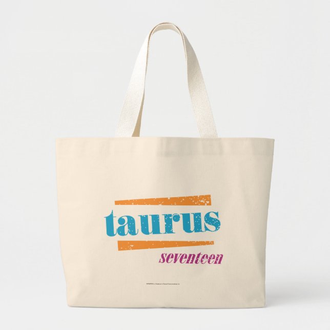 Bolsa Tote Grande Aqua do Taurus (Frente)
