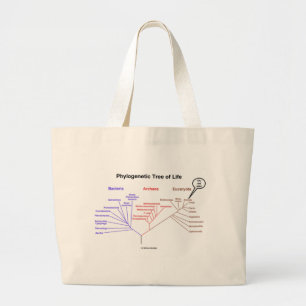 Bolsa Tote Grande Árvore de vida filogenética - você está aqui (