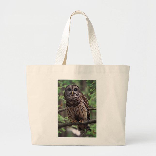 Bolsa Tote Grande Barred Owl (Frente)