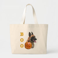 Belga Malinois Boo