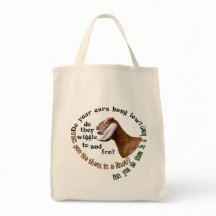 CABRA DE NUBIAN - SUAS ORELHAS PENDURAM BAIXO?